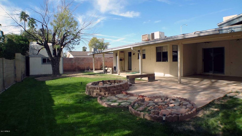 Backyard1