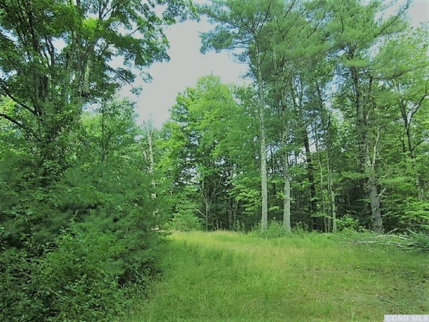 727 Garfield Rd, Stephentown, NY 12168 - photo 1