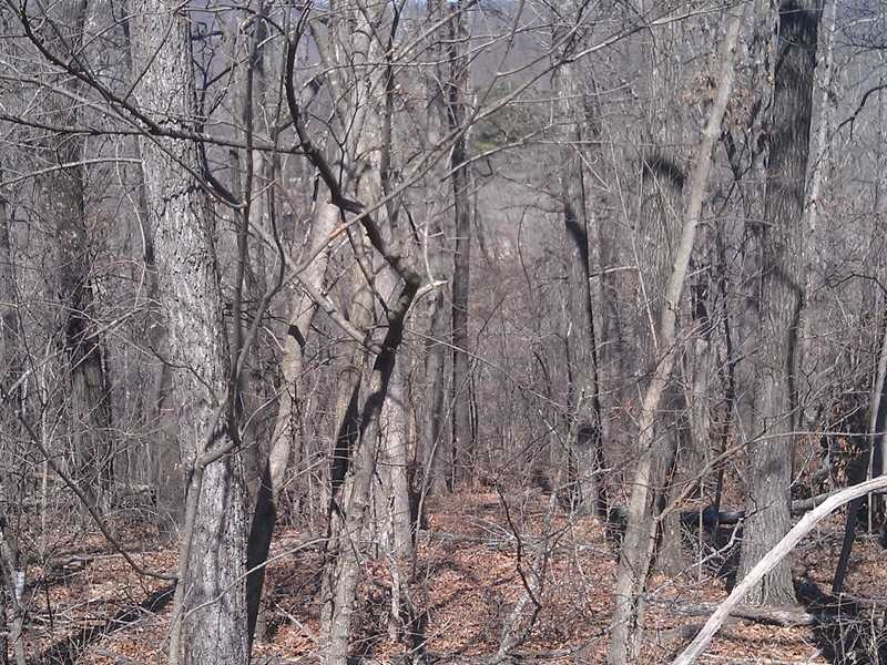 - Cudworth Cir, Bella Vista, AR 72715 - photo 1