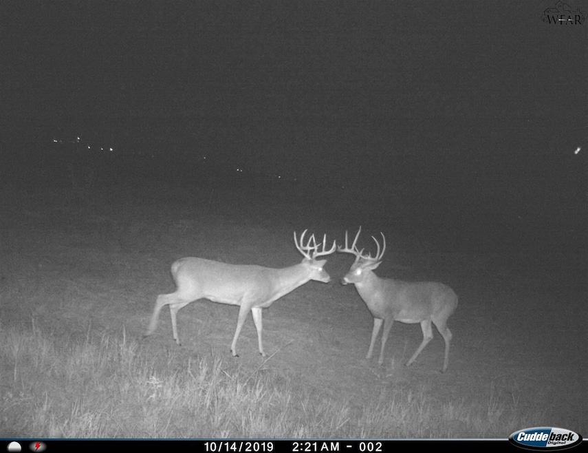 0 Farm To Market 367, Electra, TX 76360 - photo 1