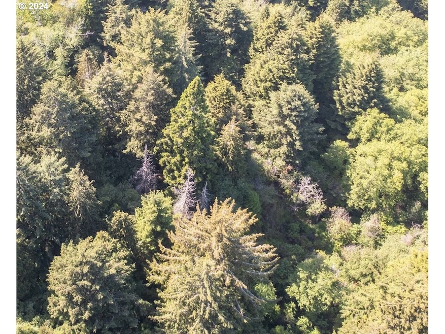 0 Bill Creek Ln unit 24269809, Bandon, OR 97411 - photo 1