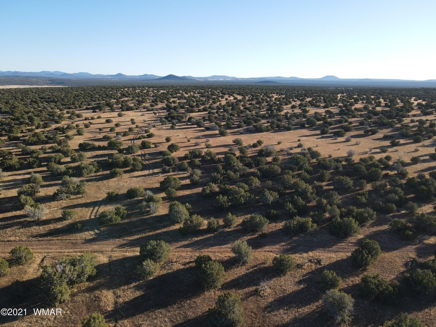 DJI_0363