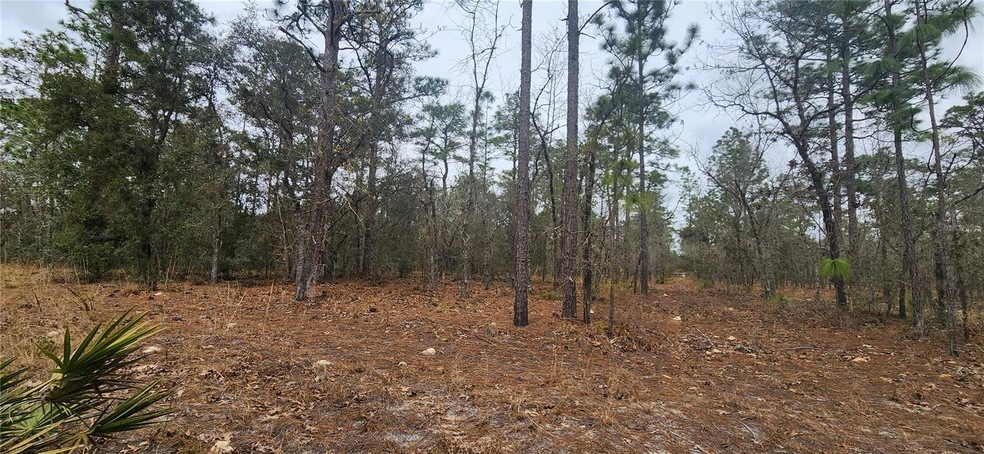 000 SW 92nd Place, Dunnellon, FL 34432 - photo 1