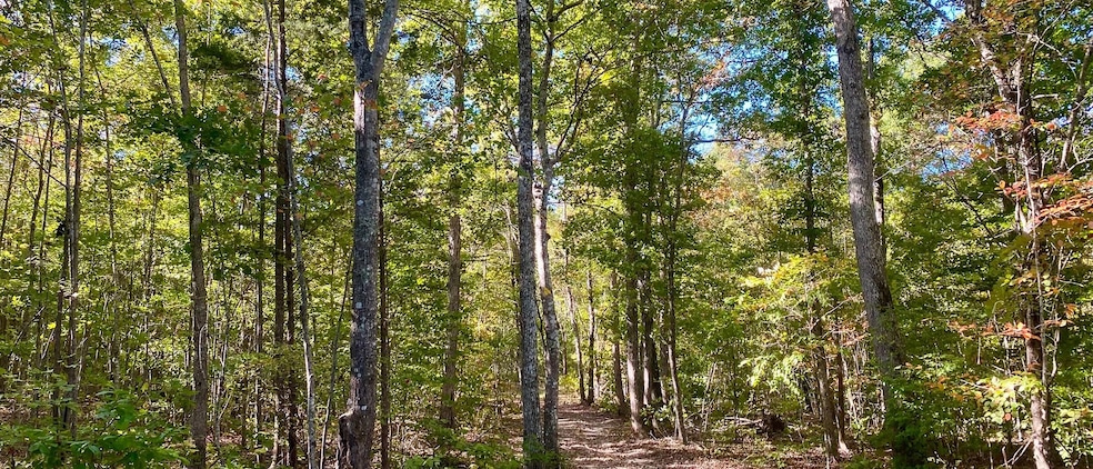 Drakes Main St, Drakes Branch, VA 23937 - photo 1