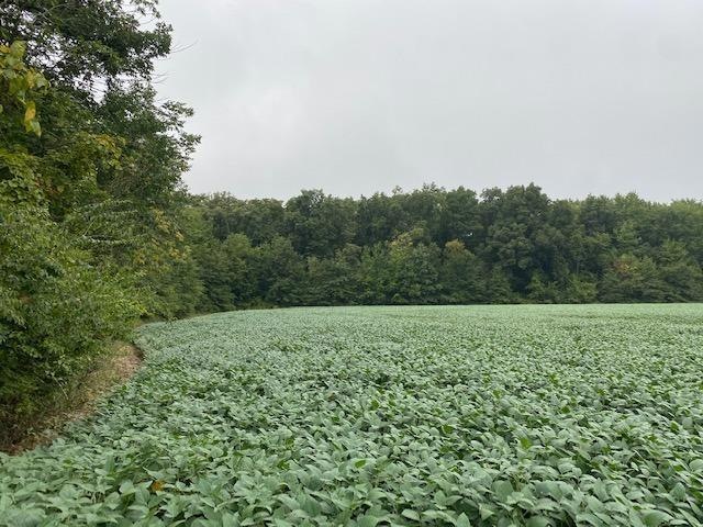 0 St Rt 123 unit 1675576, Perry Township, OH 45107 - photo 1