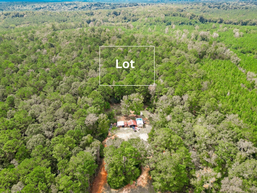 00 Florida 81, Ponce de Leon, FL - photo 1