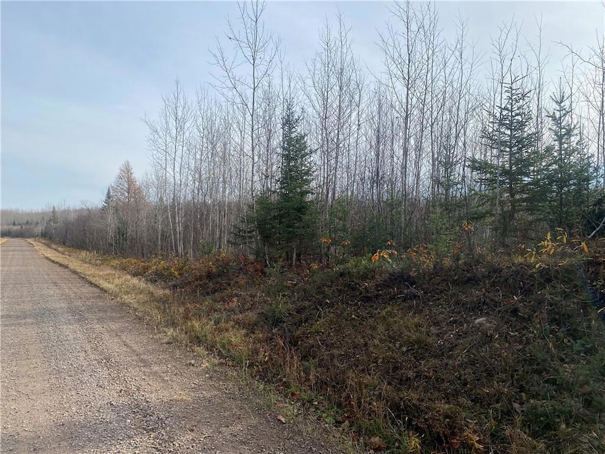 ON Shanagolden Rd, Butternut, WI 54514 MLS 1569577