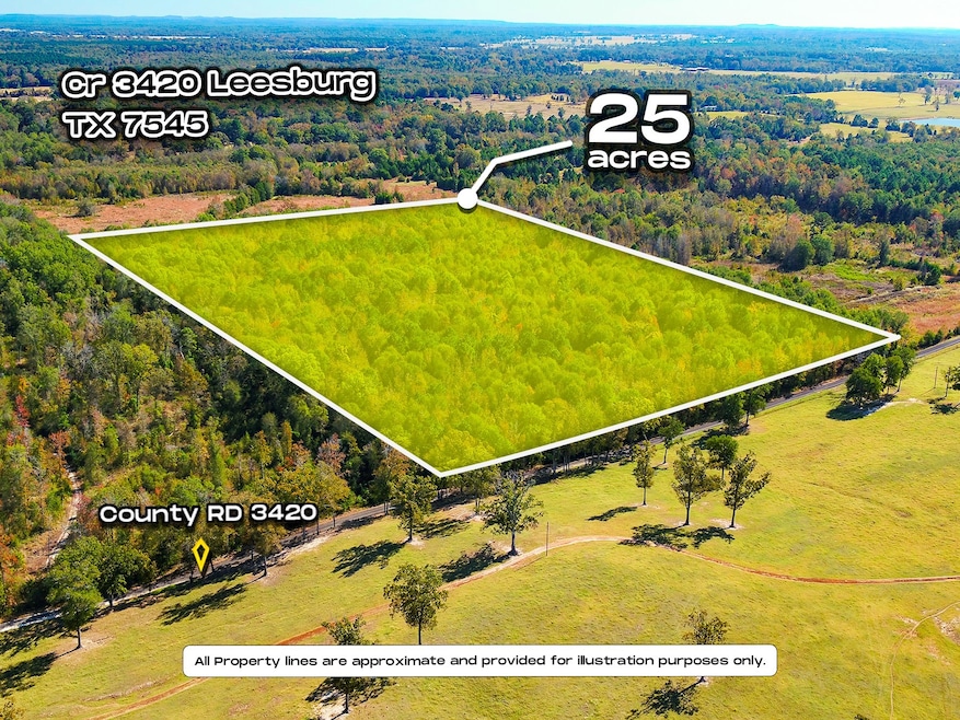 Bird's eye view of a heavily wooded area