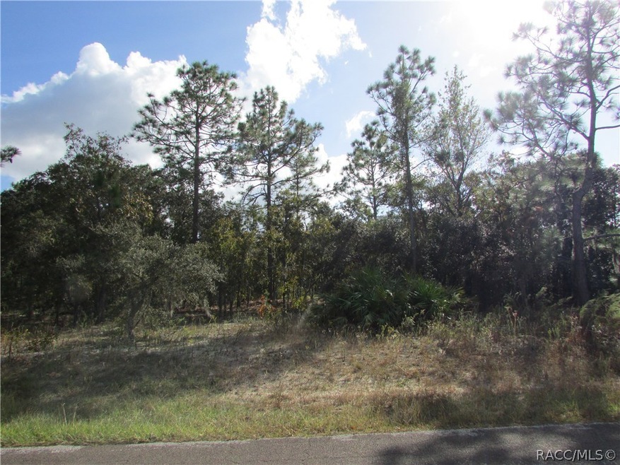 1778 E Ridgefield Dr, Hernando, FL 34442 - photo 1