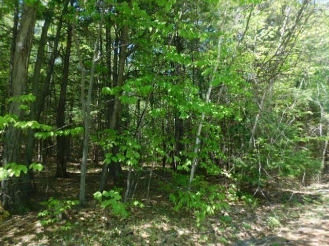 0 Pierce Ln unit 59, Westmoreland, NH 03467 - photo 1