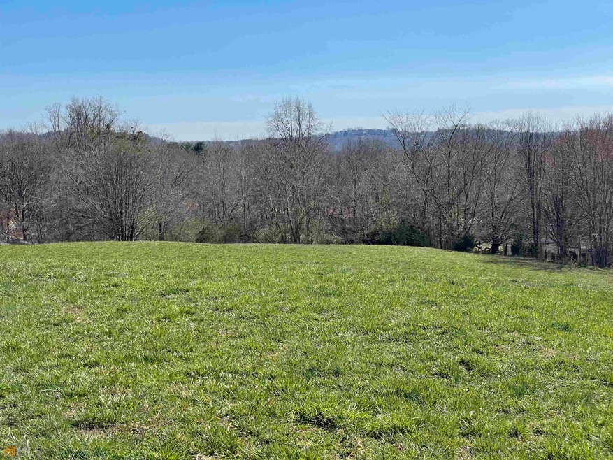 3822 Chesatetee, Gainesville, GA 30506 - photo 1