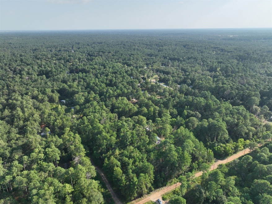 Lot 3 Cedar Ct, Plantersville, TX 77363 - photo 1