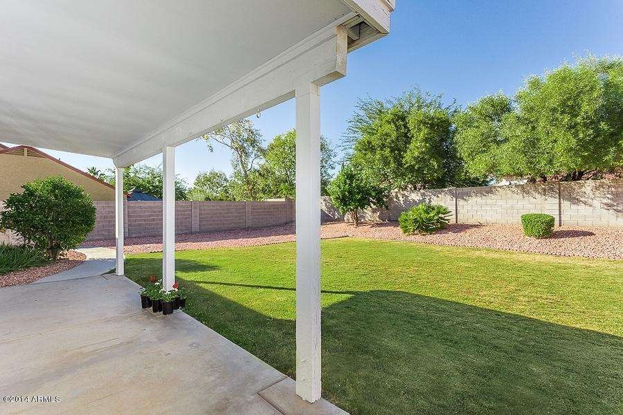 Relaxing Back Yard!