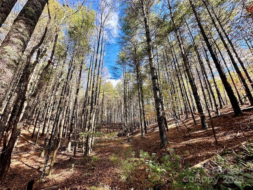 For Sale $299,000 • Co-Listing Agent