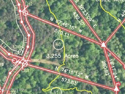 Lot View of Survey Plat