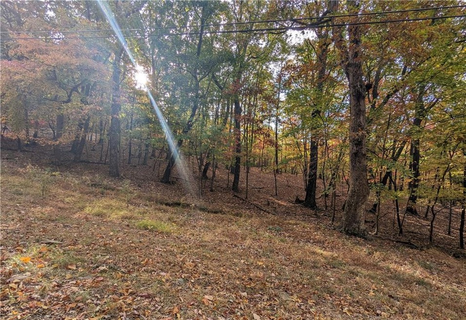 Looking east across the property