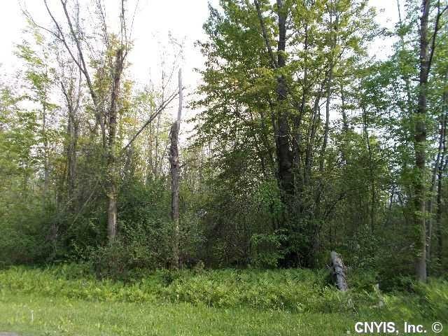 Land/Lot