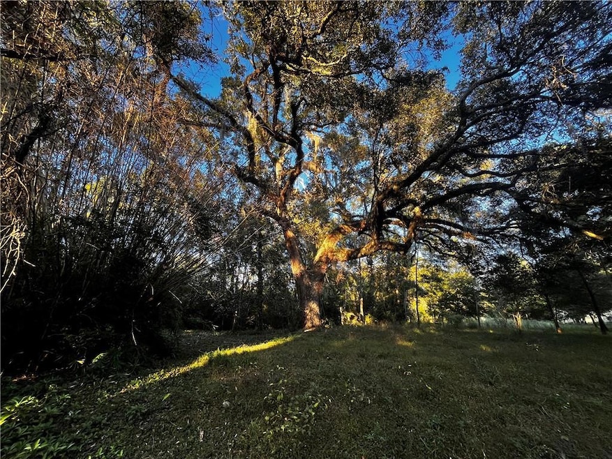 59465 Neslo Rd, Slidell, LA 70460 - photo 1