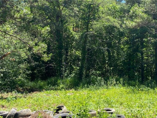 00 F H Justus Rd, Hendersonville, NC 28792 - photo 1