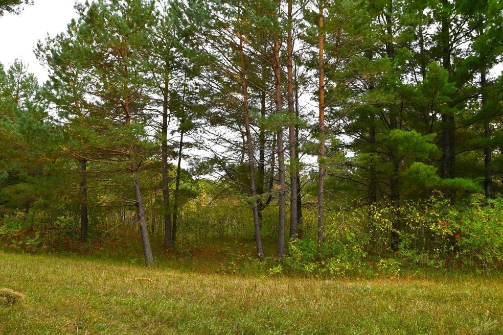 xxx Pequot Ct, Fawn Lake Township, MN 56438 - photo 1