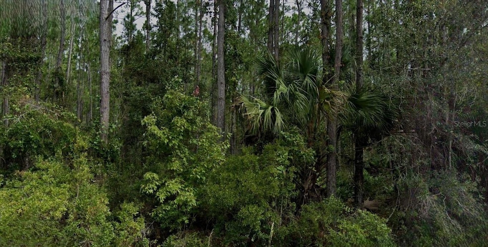 0 Song Sparrow St, Palatka, FL 32177 - photo 1