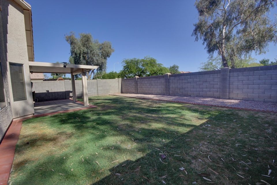 Backyard - View 1