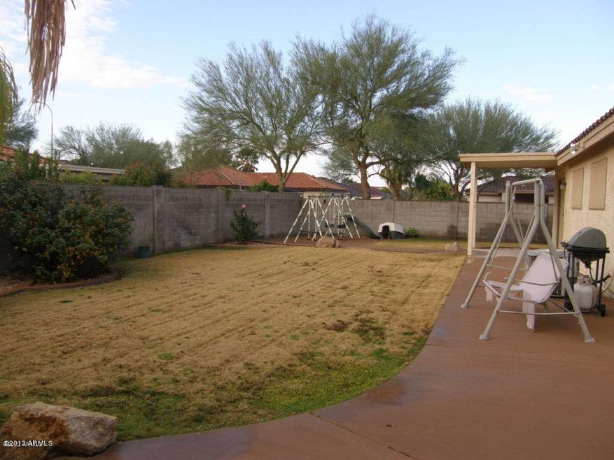 Backyard & Play Area