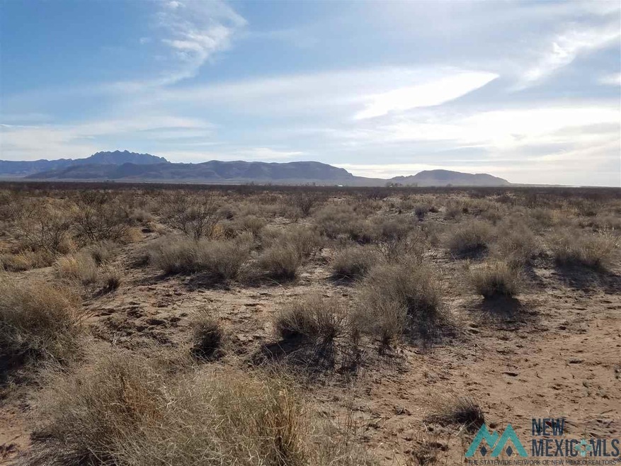 13765 Josefita Rd SE, Deming, NM 88030 - photo 1