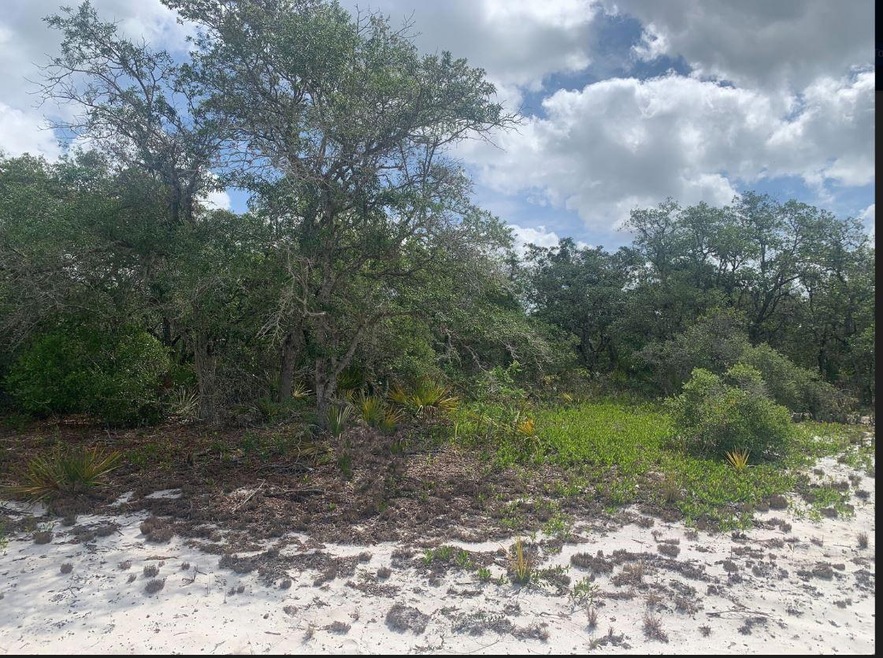 271 Dargen Dr, Lake Placid, FL 33852 - photo 1