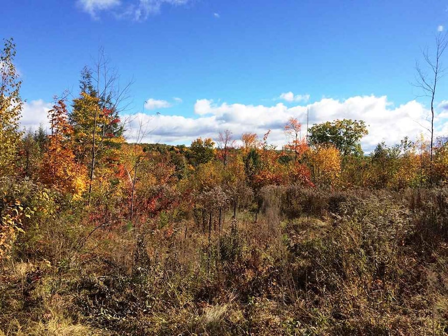 726 Salisbury Rd, Franklin, NH 03235 - photo 1