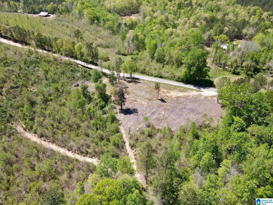 0 Landfill Rd unit 21438392, Ashland, AL 36251 - photo 1
