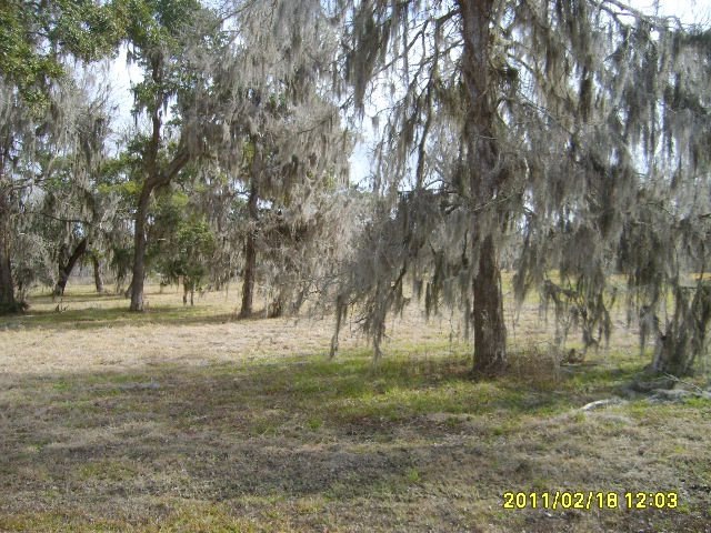 0 Bubba unit 48751, Brazoria, TX 77422 - photo 1