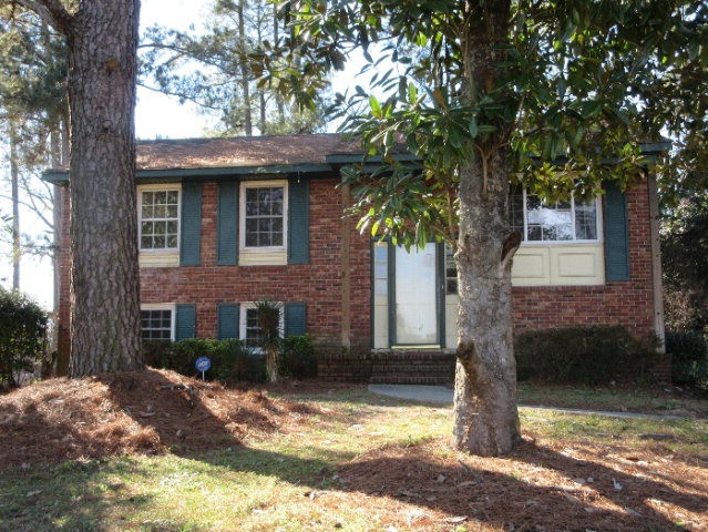 Main View