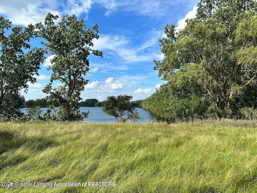 0 W Colony unit 286993, St. Johns, MI 48879 - photo 1