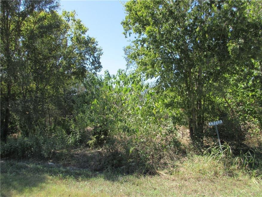 0 Cr 2872 St unit 226584, Marlin, TX 76661 - photo 1