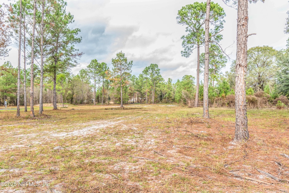 13121 NE 235th Ct, Raiford, FL 32083 - photo 1