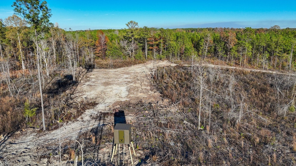 0 Big Rock Rd, Jacksons Gap, AL 36861 - photo 1