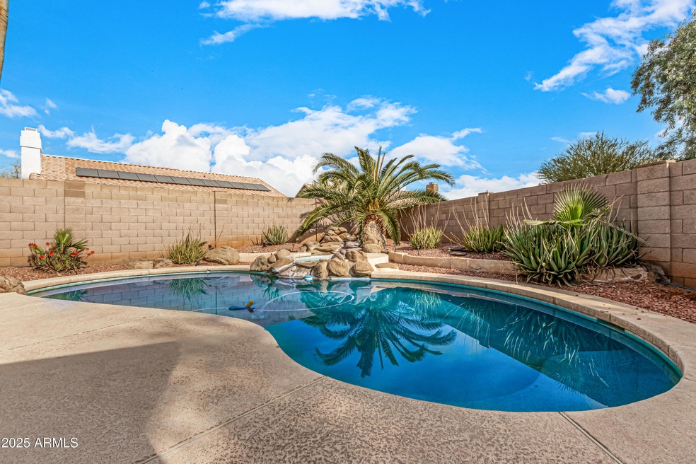 Harrell Clover pool spa palm