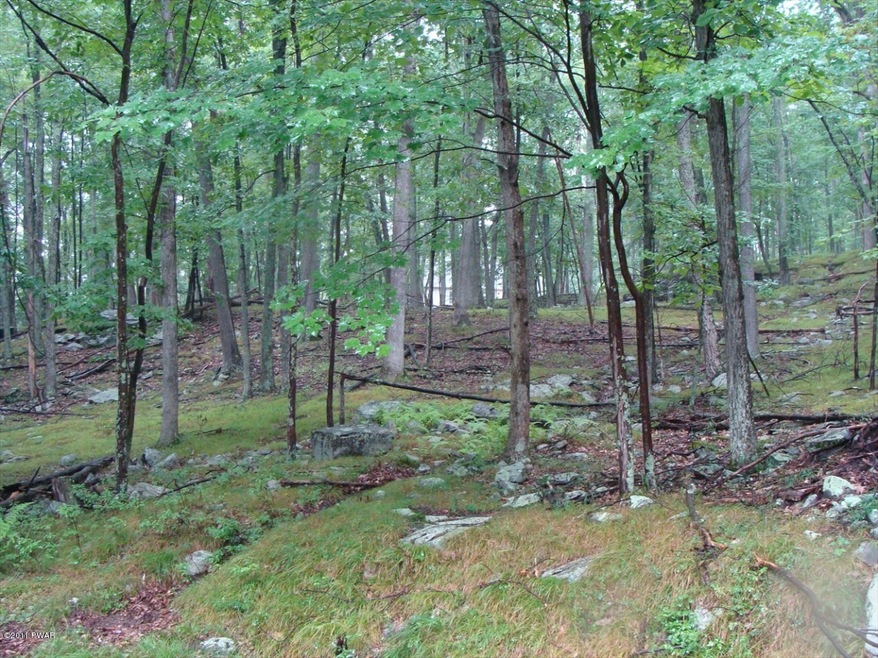 0 Juniper Ct, Lackawaxen Township, PA 18428 - photo 1