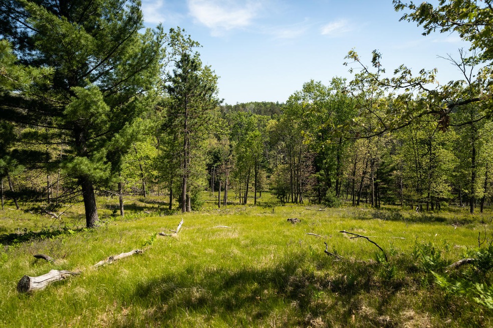 Nugent Lake 5