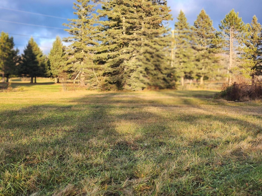 M21L3D Wells Dr, Limestone, ME 04750 - photo 1