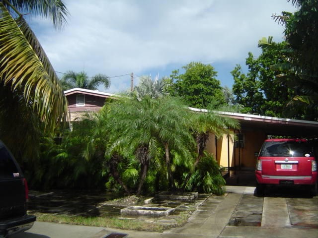 DSC00564