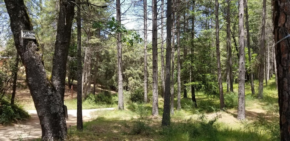 6400 Shoo Fly Rd, Placerville, CA 95667 - photo 1