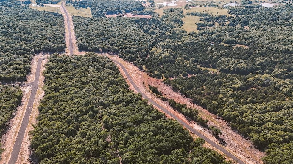 Bird's eye view of a forest