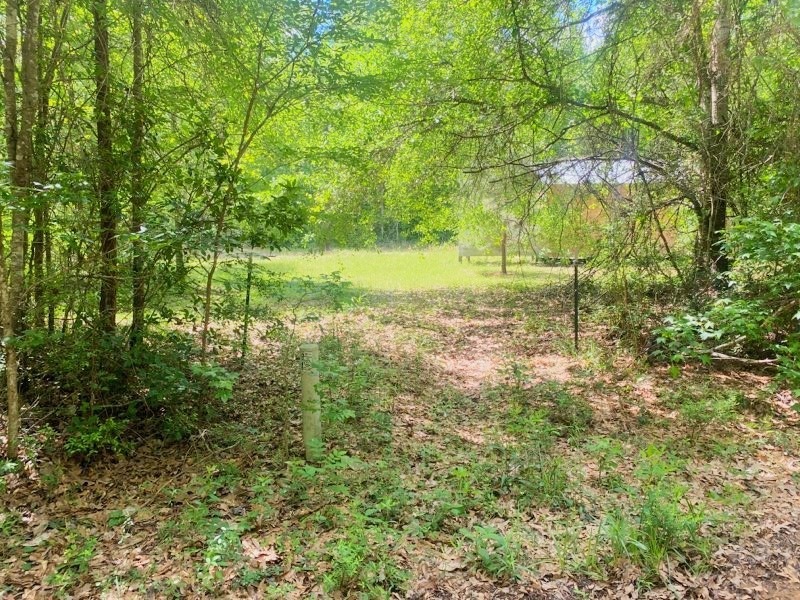 10240 Fm 1725 Rd, Cleveland, TX 77328 MLS 73912521