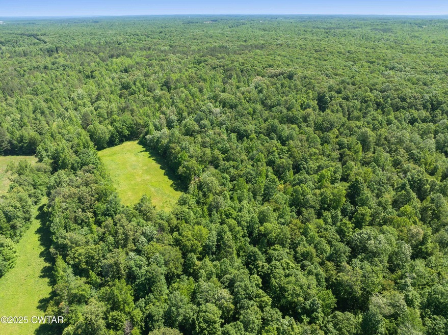 DJI_20250521105650_0877_D