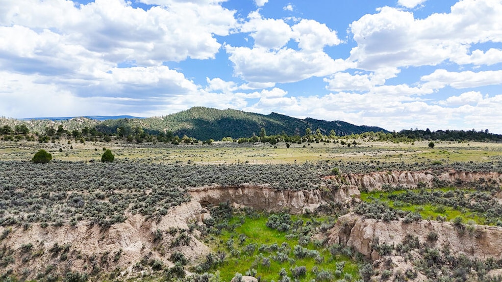 0 W1 2se1 4 Sec 25 unit 1088914, Regina, NM 87046 - photo 1