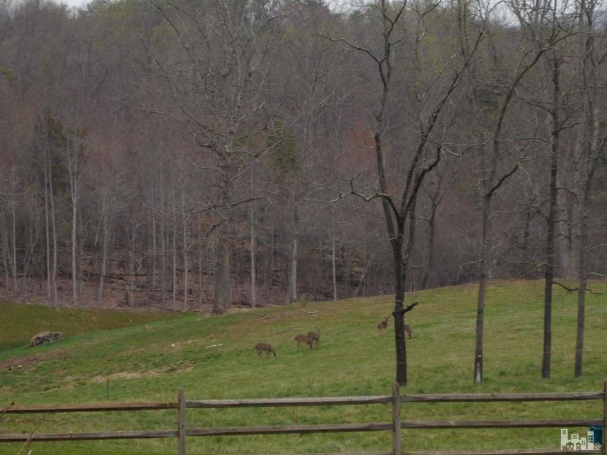 605 Pisgah Ridge Cir, Hiddenite, NC 28636 - photo 1