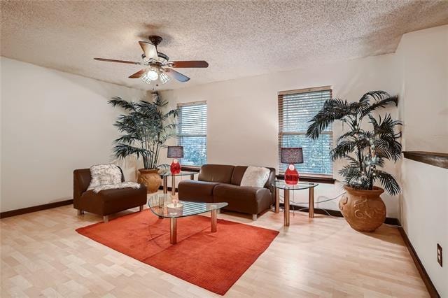 4104 Everest Ln, Austin, TX 78727 - photo 1