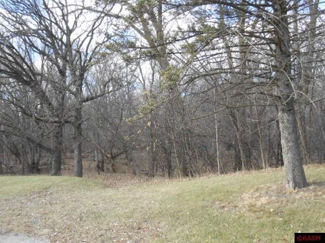 0 W 1st St unit 7004164, Blue Earth, MN 56013 - photo 1